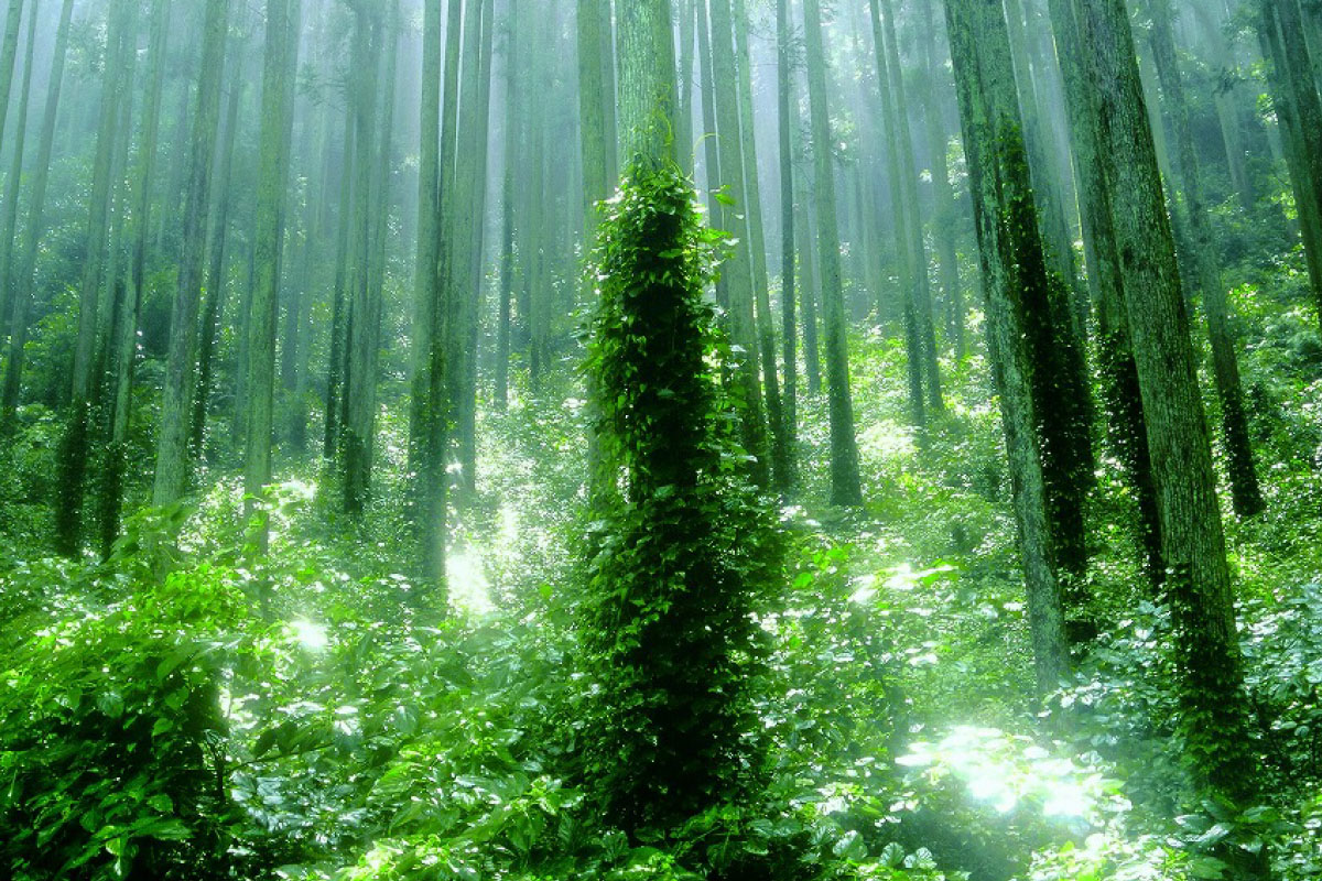 ふらっと はかどる 浜松ワーケーション
